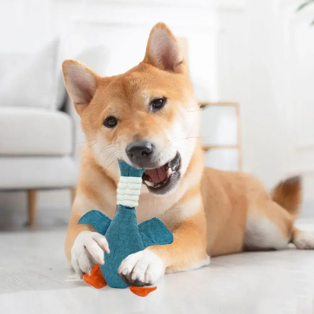 Plush Geese Sound Toy for Dogs and Cats – Teeth Grinding & Cleaning