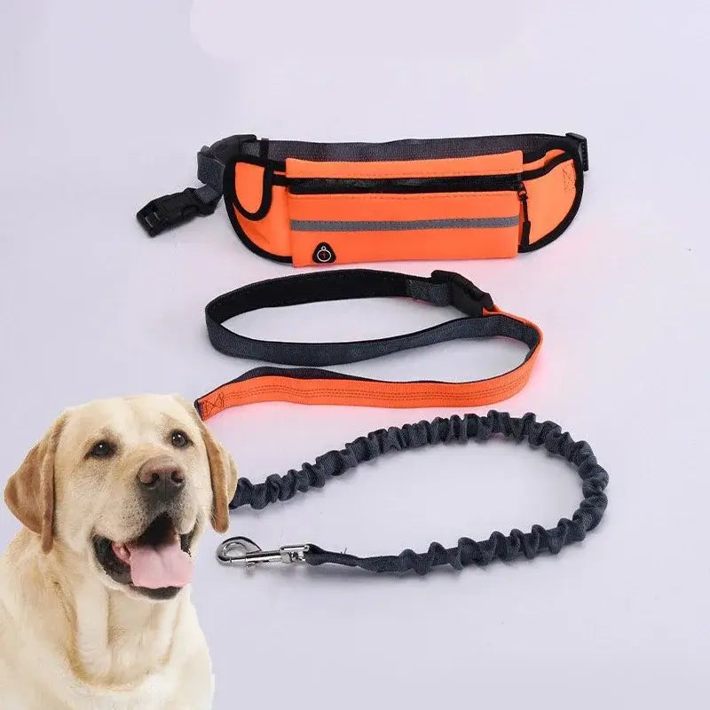 Hands-Free Reflective Dog Leash with Waist Bag for Running and Walking