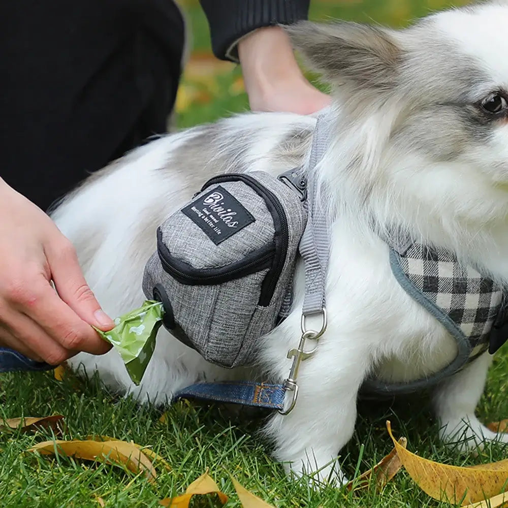 Pet Multi-Functional Dog Walking Bag with Snack & Waste Storage