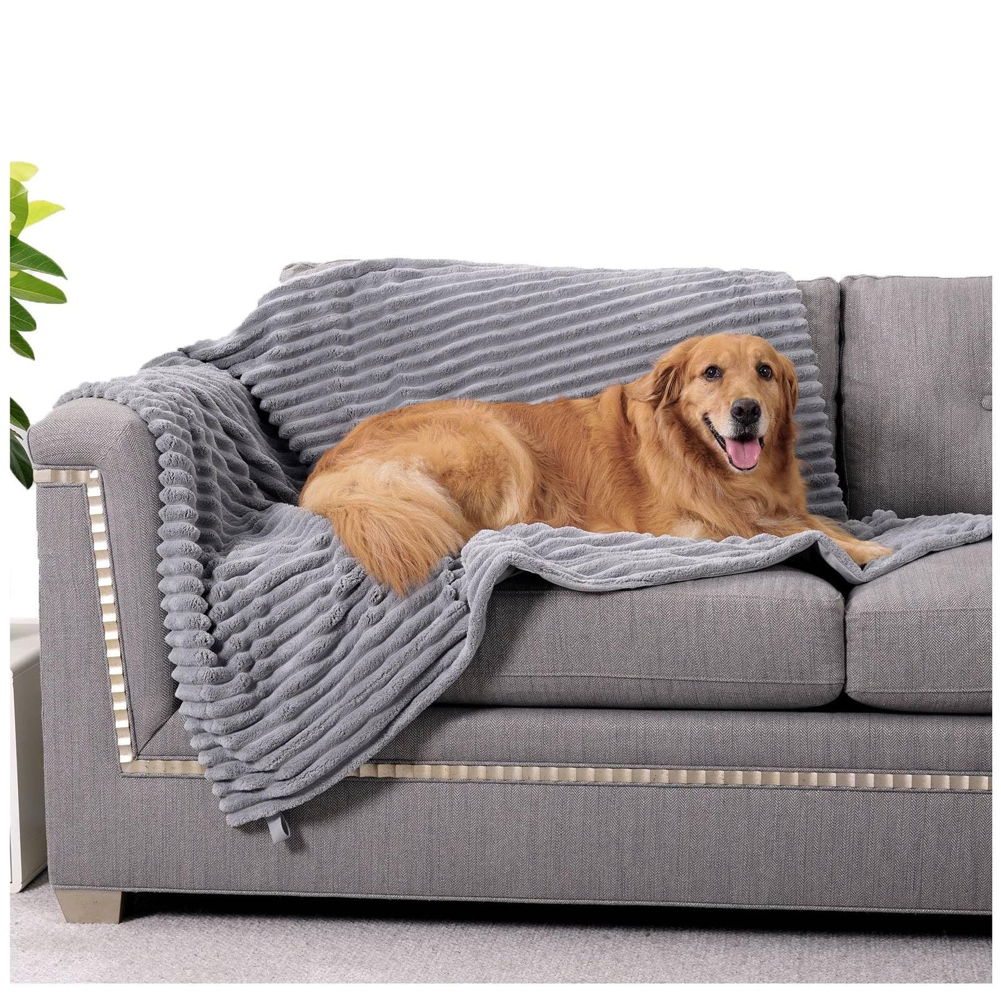 Grey Waterproof Pet Blanket for Small Dogs