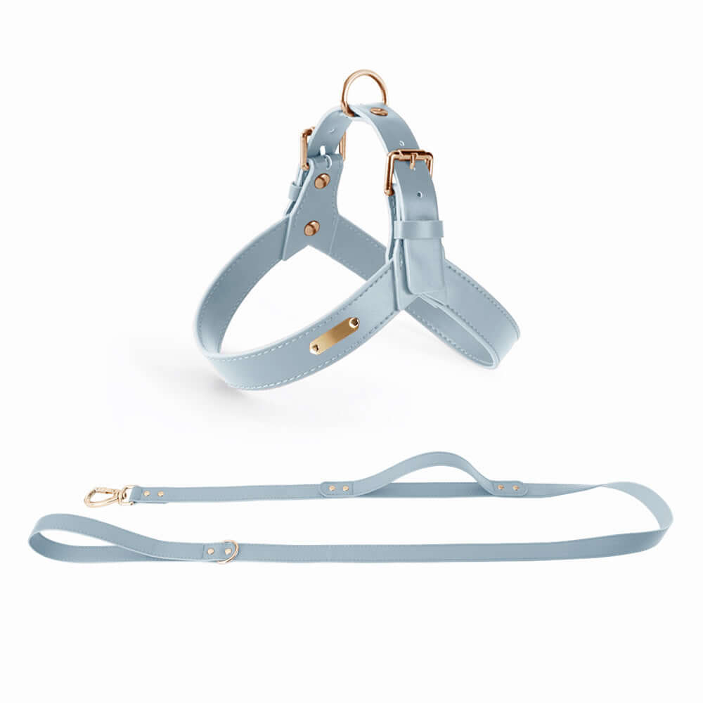 Summer Dog Vest Chest Harness and Leash in water gray blue color with matching leash, crafted from leather.