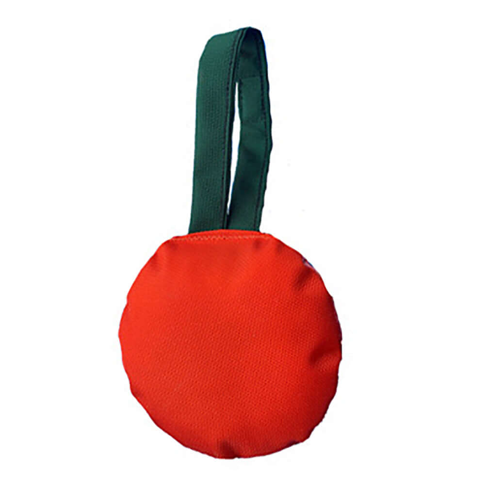 American Dog Jack-O-Tug Pumpkin Dog Toy