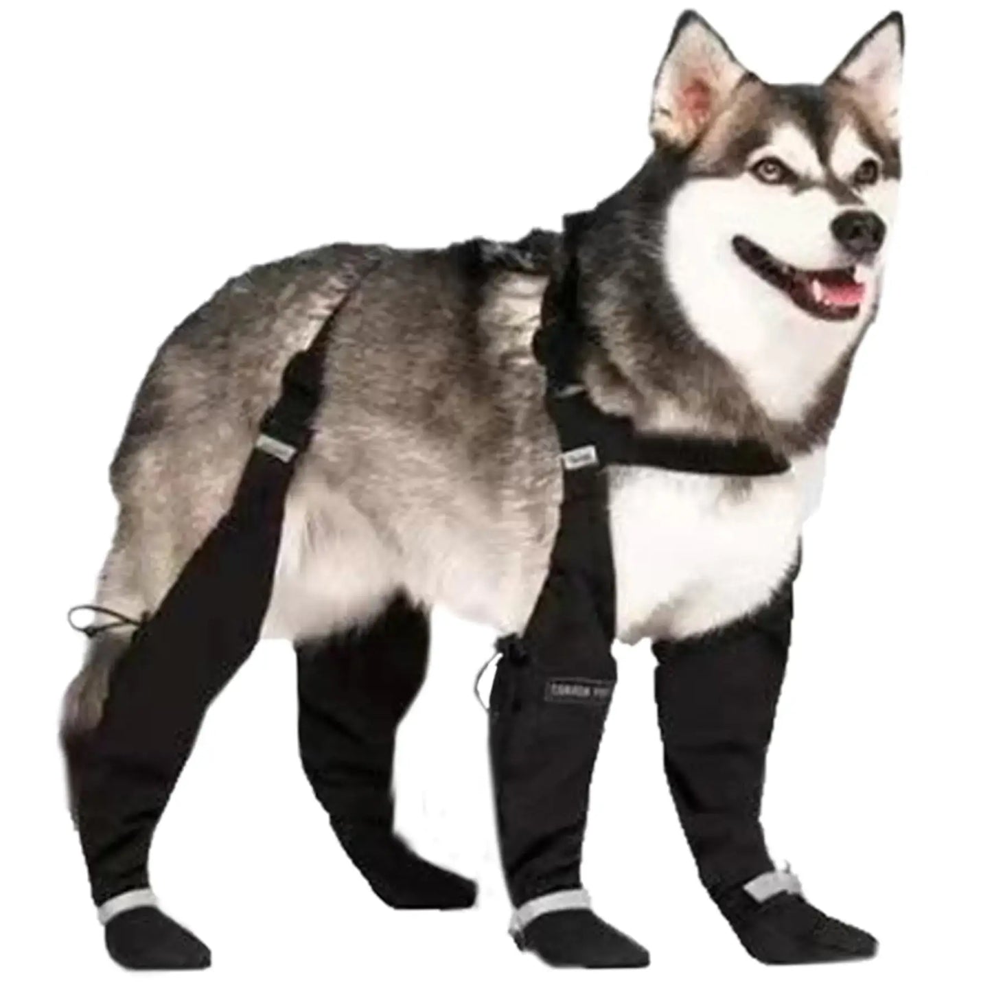 XXL Reflective Waterproof Dog Boots with Suspenders on a happy dog, showcasing a secure fit and waterproof design.