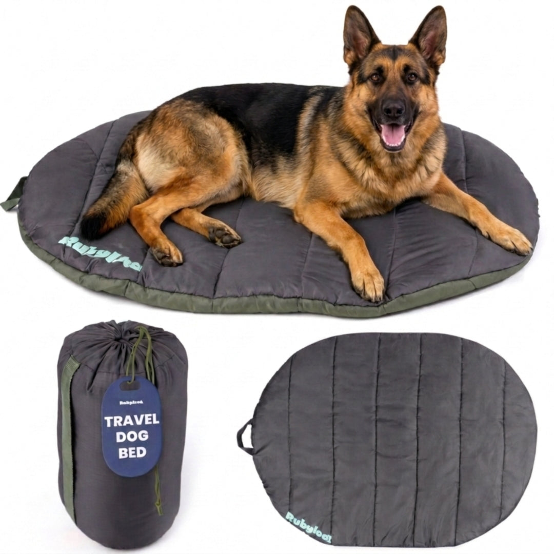 Lit de voyage pour chien - Pliable et compact pour les voyages en voiture et le camping