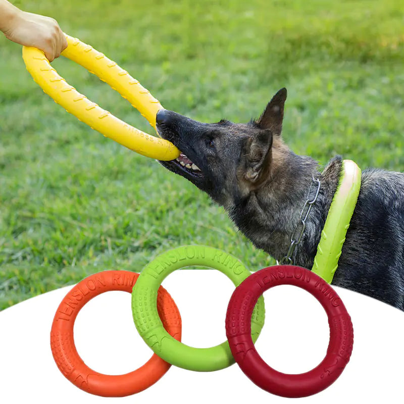 AquaFetch Dog Training Ring