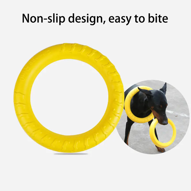 AquaFetch Dog Training Ring