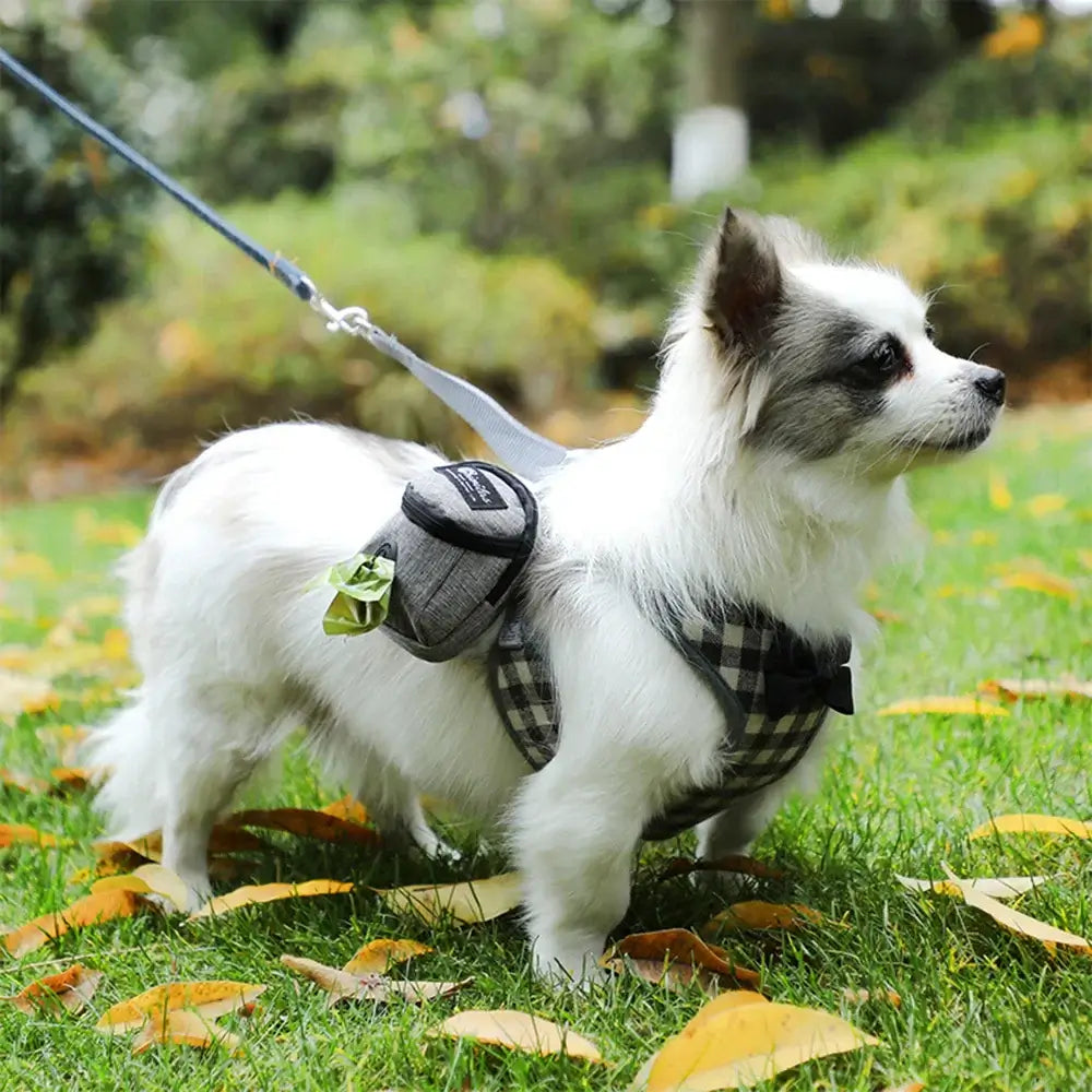 Pet Multi-Functional Dog Walking Bag with Snack & Waste Storage