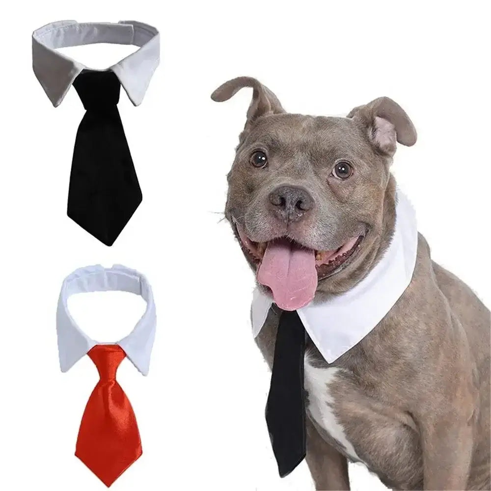 Pet Formal Tuxedo Necktie Bow Tie Collar in Black & Red