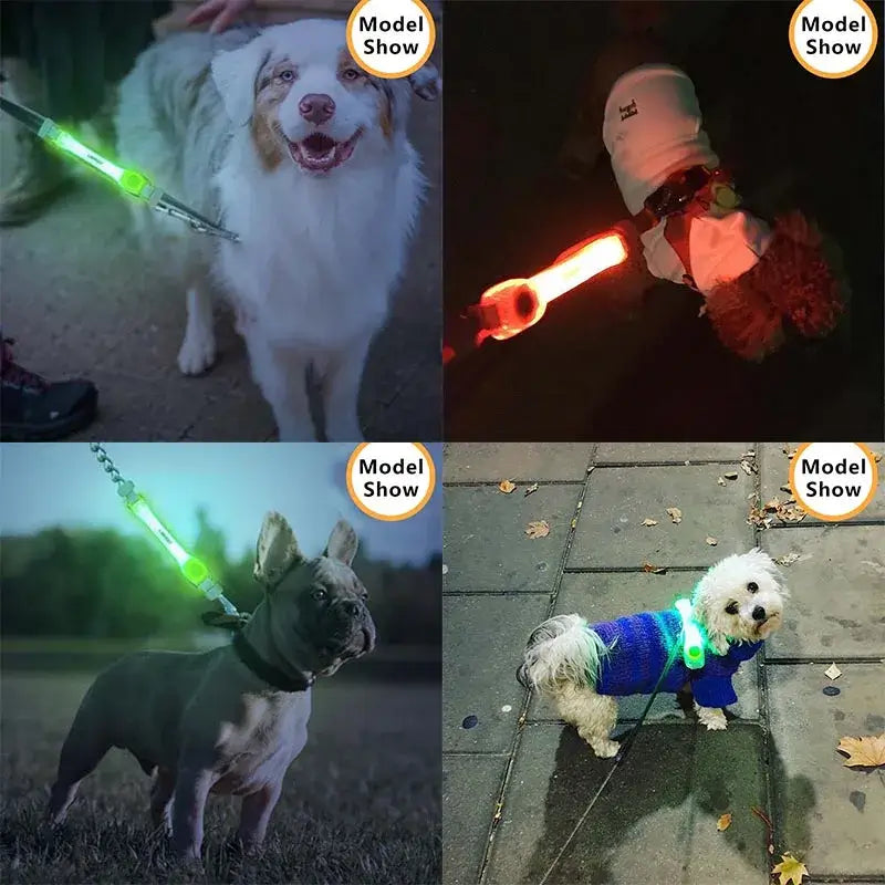 Collar Dog LED Lights Clip - Waterproof Anti-lost Tag for Night Walking