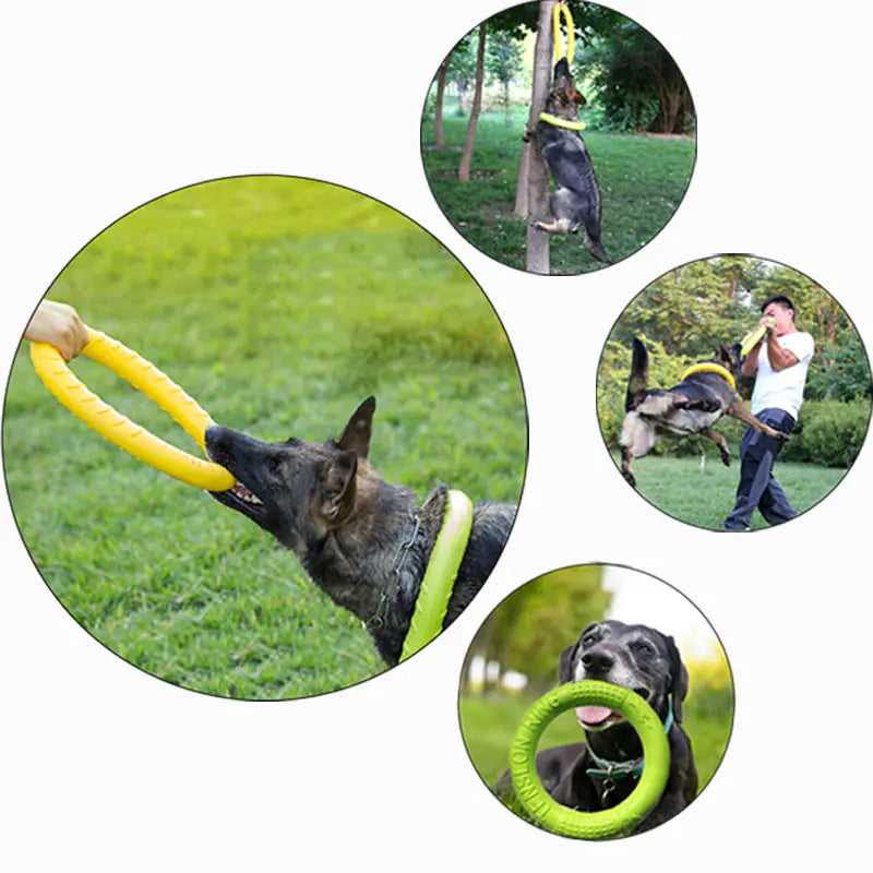 AquaFetch Dog Training Ring