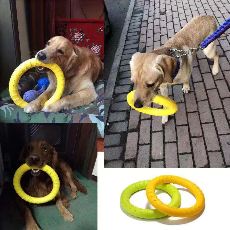 AquaFetch Dog Training Ring