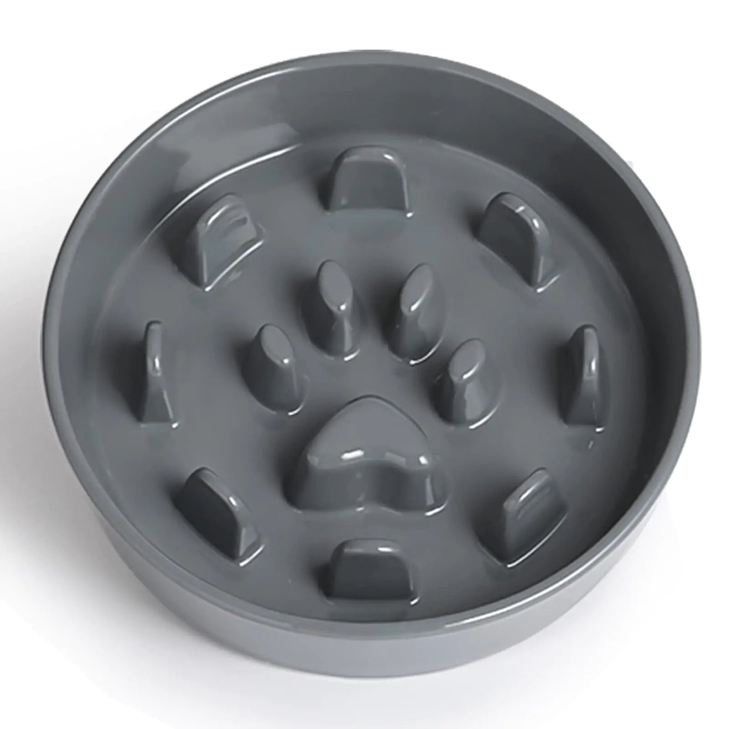 Healthy Pace Feeder Bowl for Dogs