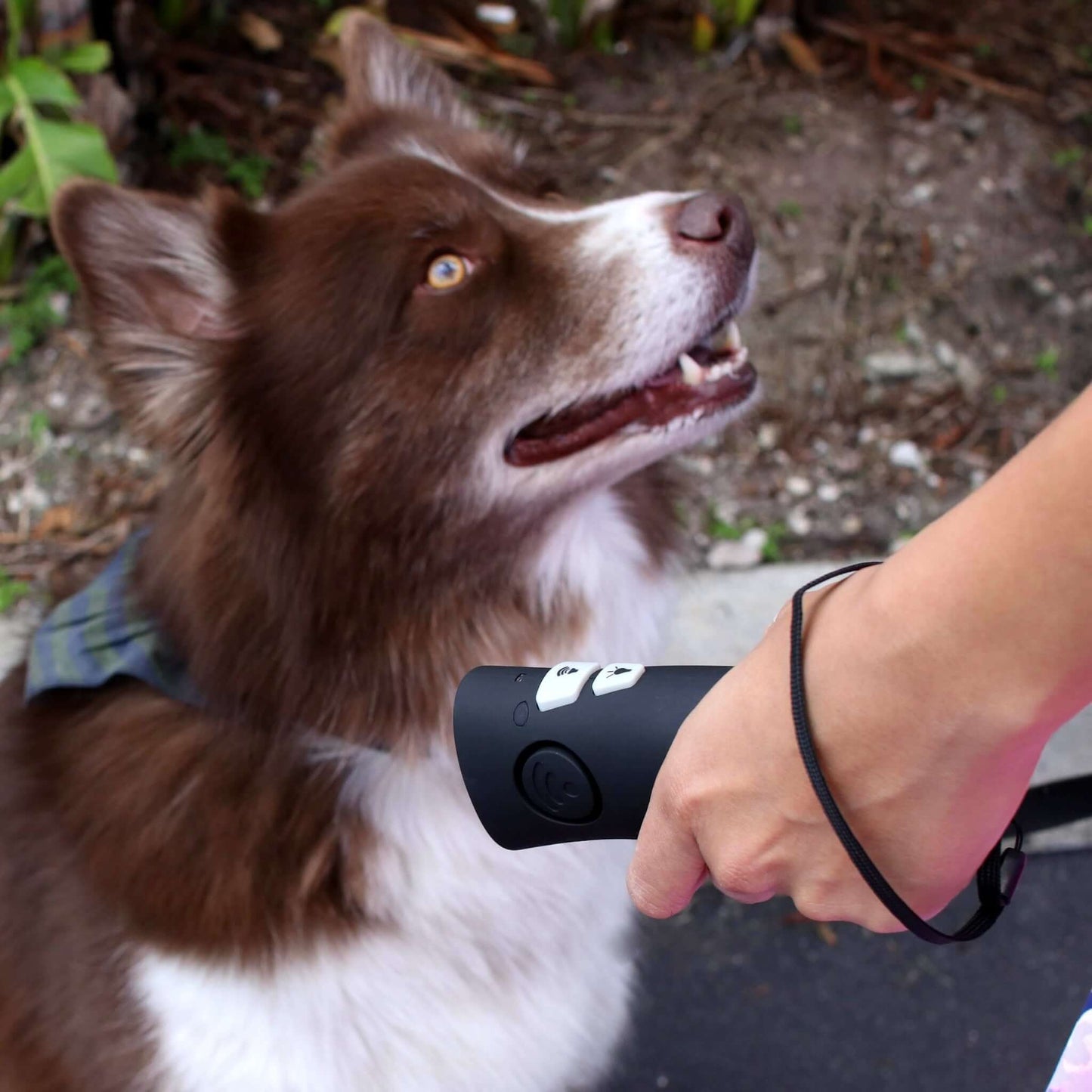 Dressage anti-aboiement et anti-sauts pour chiens, portable et ultrasonique, OnGuard™