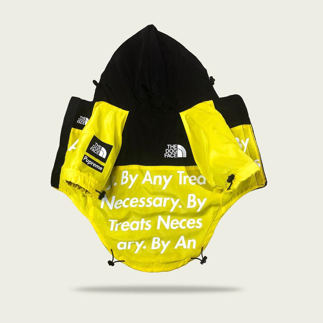 Imperméable pour Chien pour Grands Animaux de Compagnie