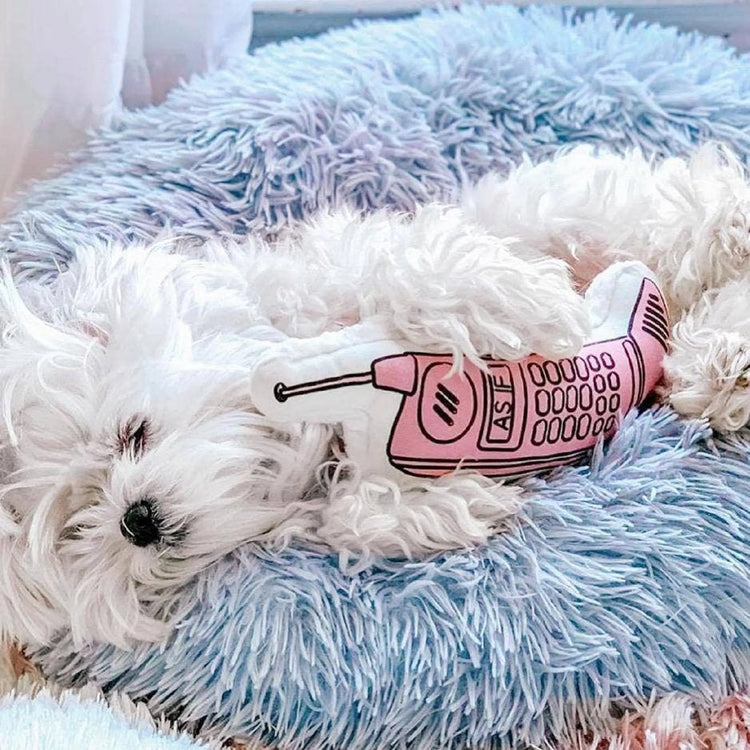 Fluffy dog sleeping on a cozy dog bed, surrounded by a soft blue blanket with a toy phone.