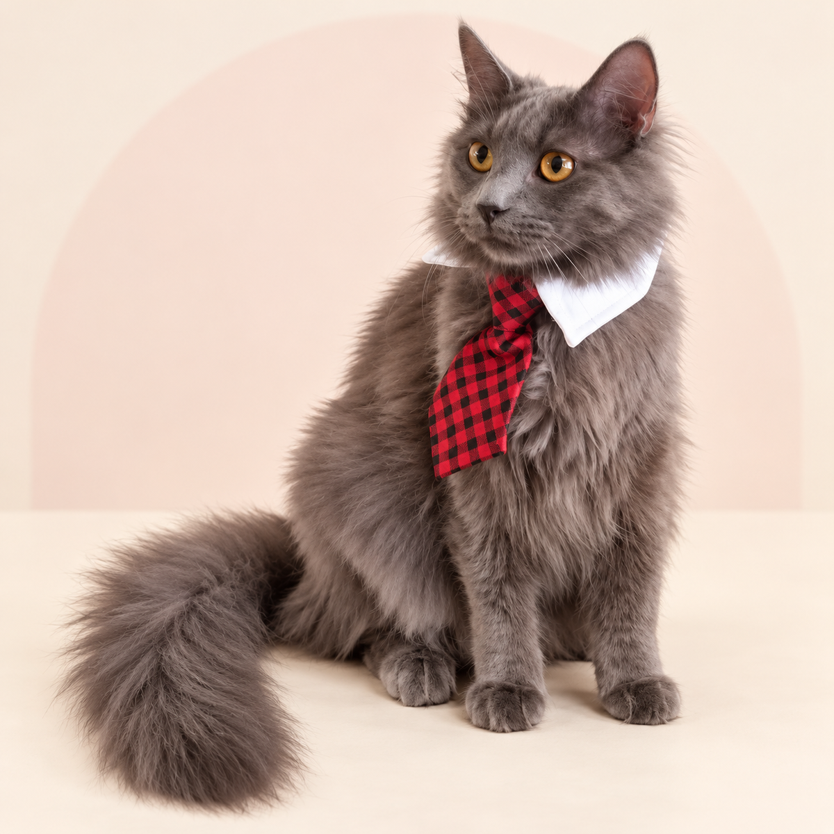 Cat Apparel