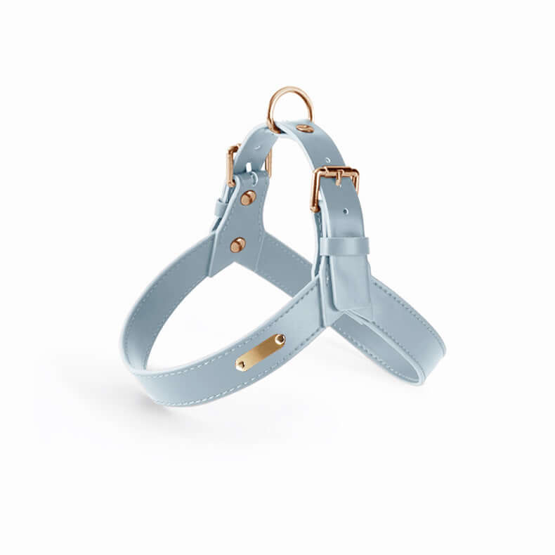 Light blue leather Summer Dog Vest Chest Harness and Leash for optimal pet comfort and style.