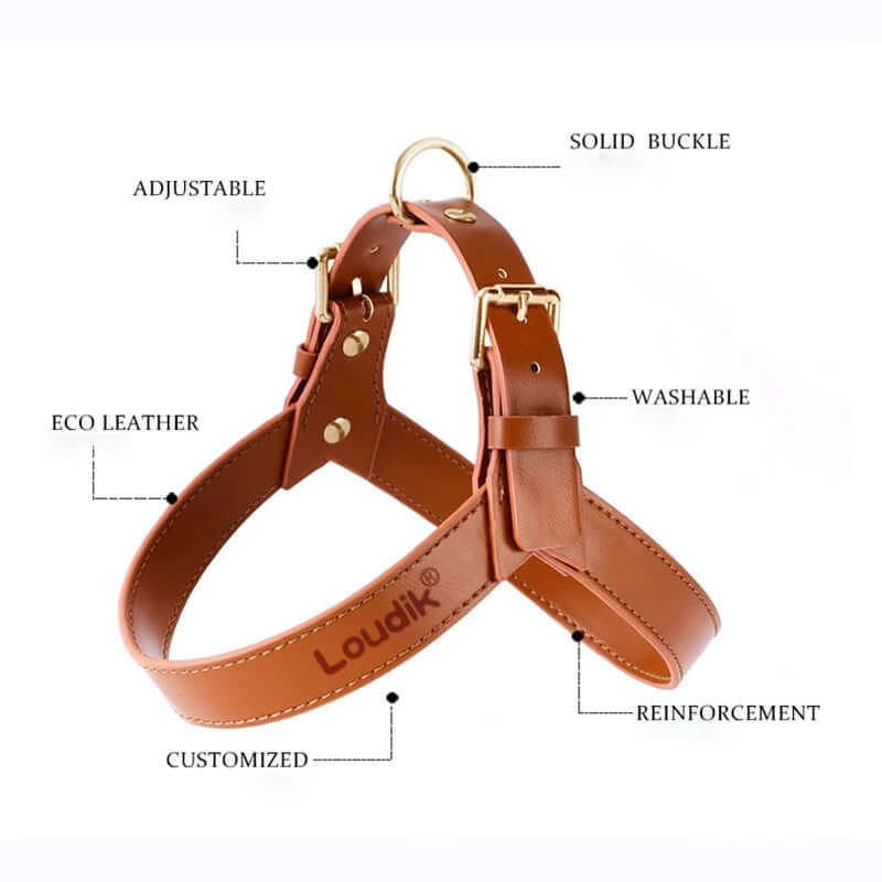 Summer Dog Vest Chest Harness and Leash made of eco leather with adjustable straps and solid buckle features.