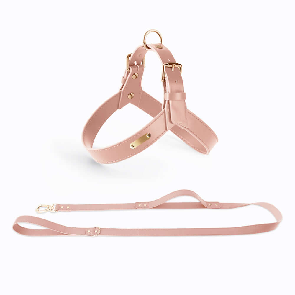 Summer Dog Vest Chest Harness and Leash in pink leather with matching leash, perfect for summer outings.