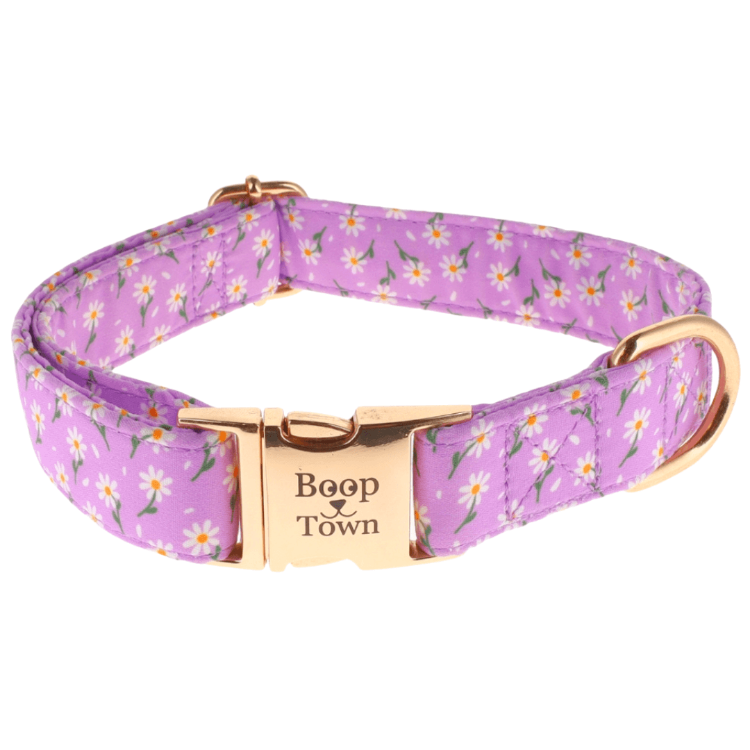Boop Town Durable Soft Comfortable Cotton Dog Collars in purple floral design with gold buckle.