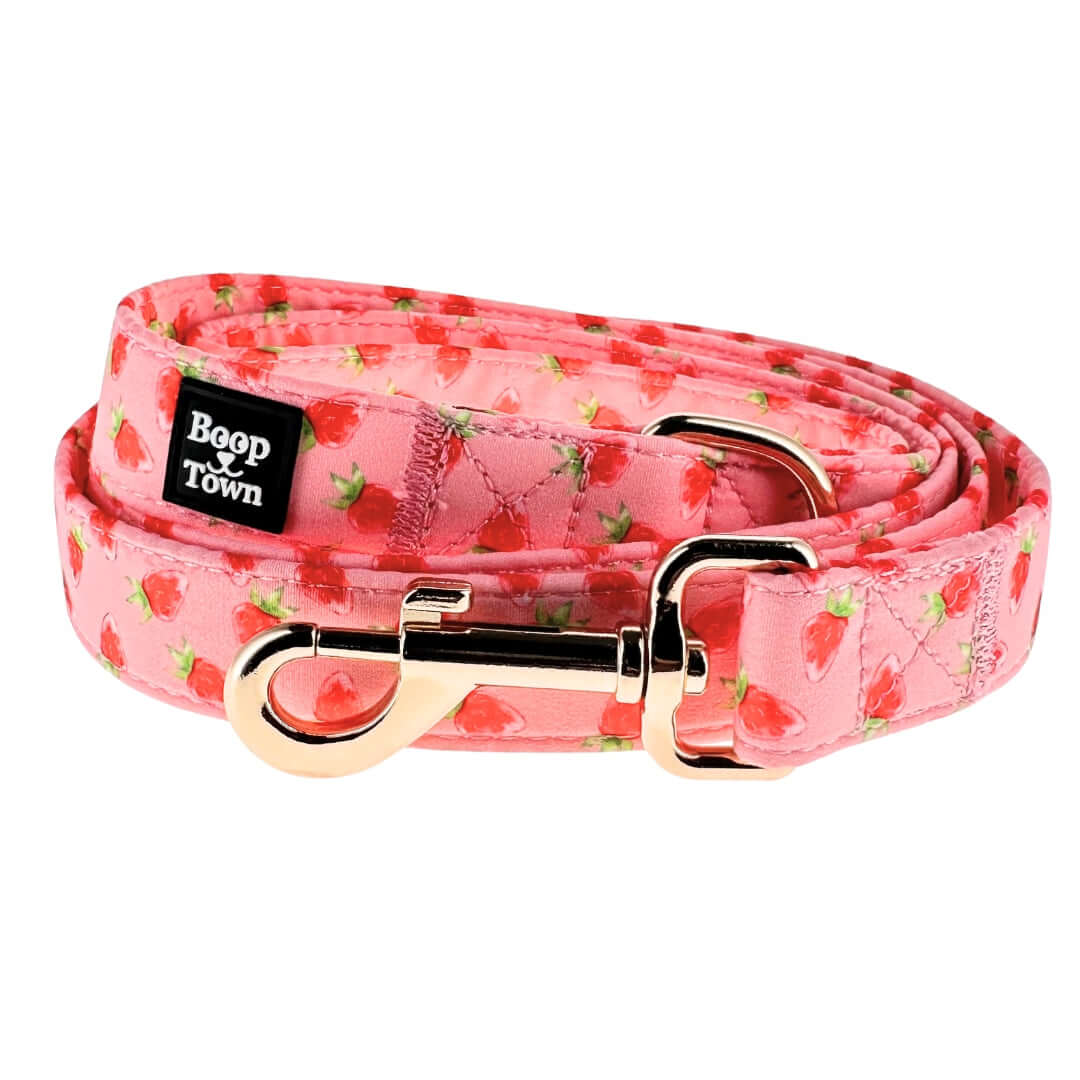 Boop Town Cute Dog Leashes 5 Feet Long in pink with strawberry pattern and zinc alloy hardware