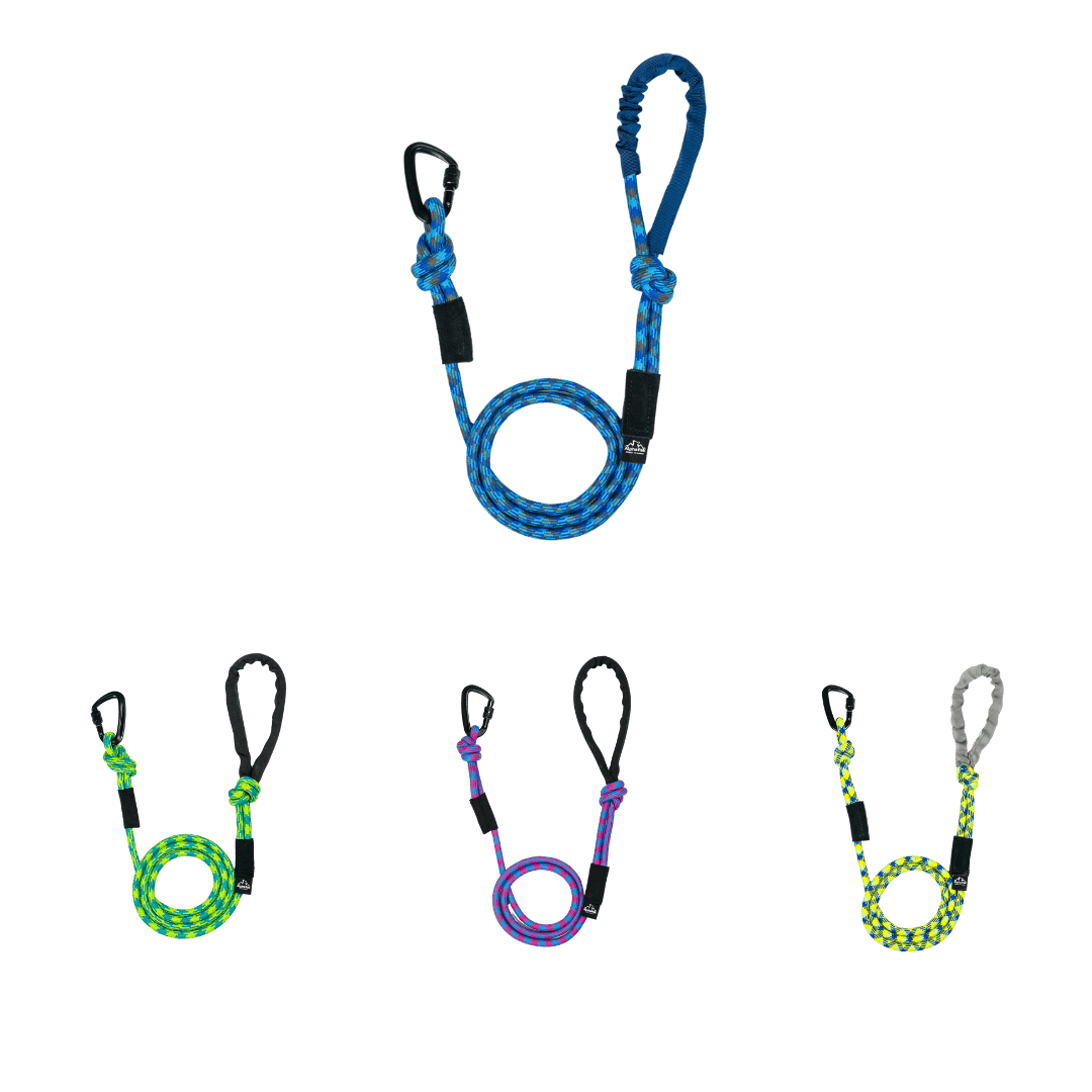 Kernmantle Climbing Rope Dog Leash in various colors including blue, green, purple, and grey.