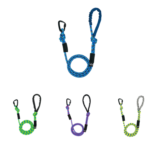 Kernmantle Climbing Rope Dog Leash in various colors including blue, green, purple, and grey.