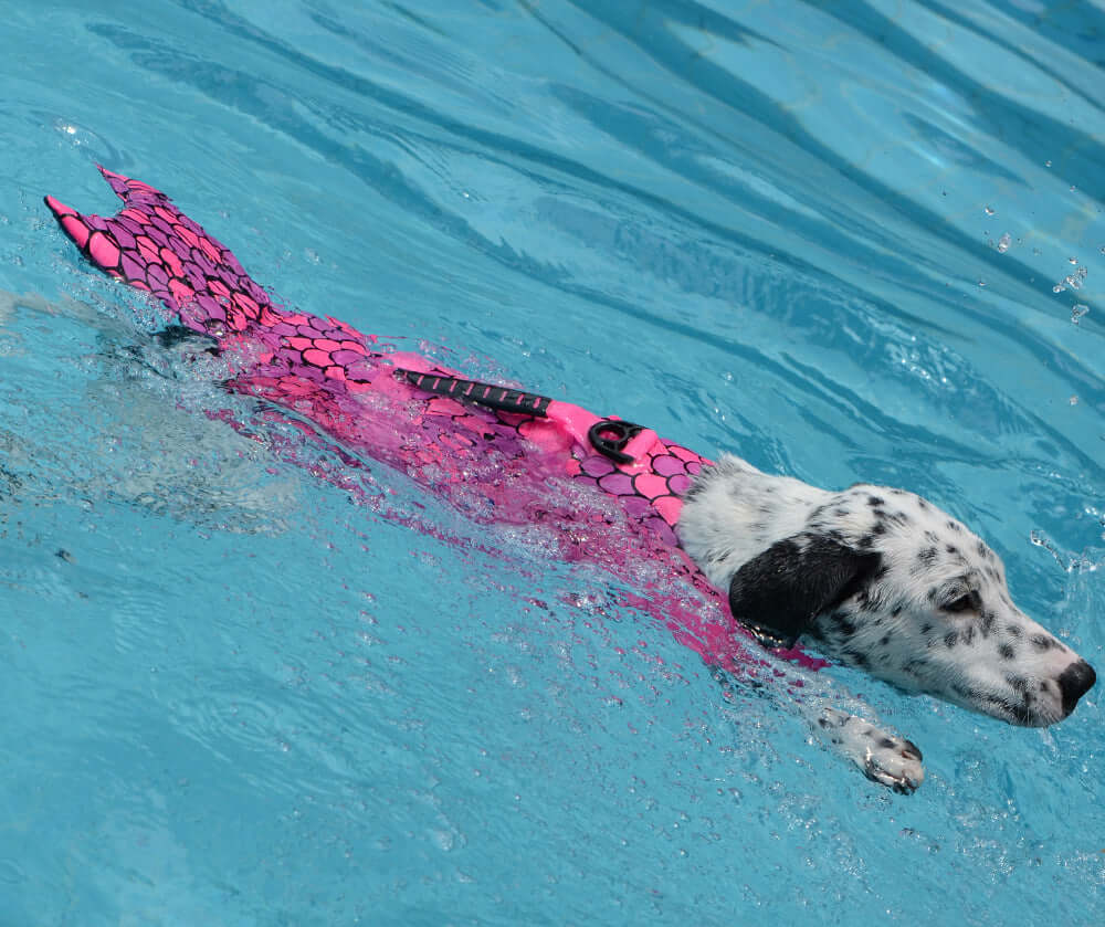 Dog Swimming Life Vest Adjustable Life Jacket Mermaid Shark in action, stylish pink mermaid design for safety in water.