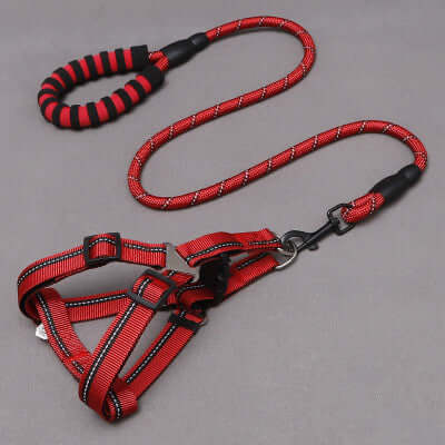 Dog Leash and Chest Harness in red color with durable design for active dogs.
