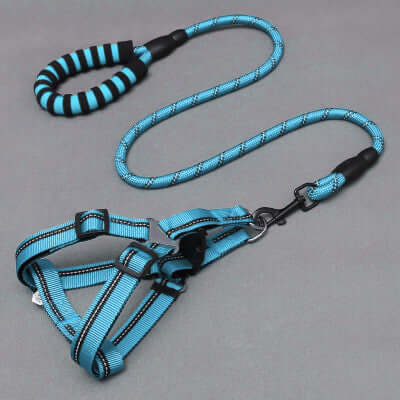 Dog Leash and Chest Harness in blue color with padded handle and adjustable straps for comfort.
