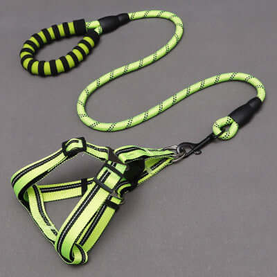 Dog Leash and Chest Harness in bright green color with striped design, ideal for walking dogs comfortably.