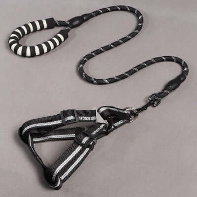 Dog Leash and Chest Harness in black and white, featuring a durable adjustable design for walking and training dogs.
