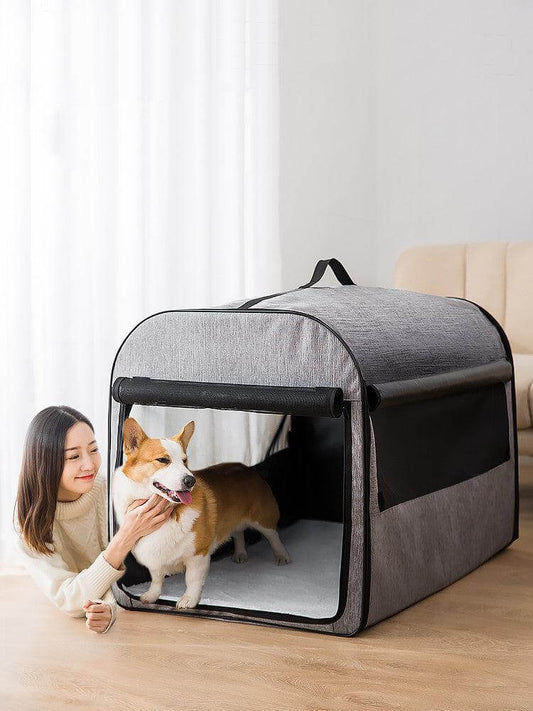Wanderlust Pet Adventure Backpack Explore Together with a woman and her corgi in a cozy indoor setting.