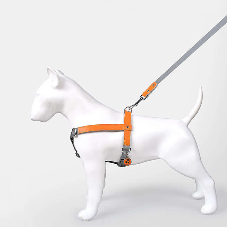 Leather Dog Harness Leash Set displayed on a white dog model featuring a vibrant orange harness and grey leash.