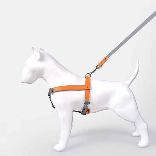 Leather Dog Harness Leash Set displayed on a white dog model featuring a vibrant orange harness and grey leash.