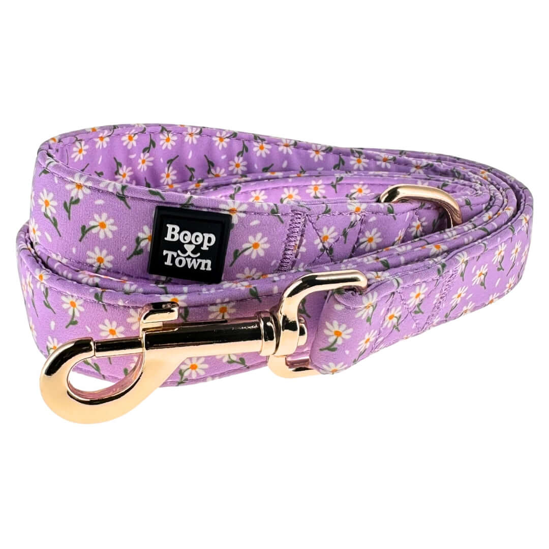 Boop Town Cute Dog Leashes 5 Feet Long in purple with floral pattern and gold metal hardware.