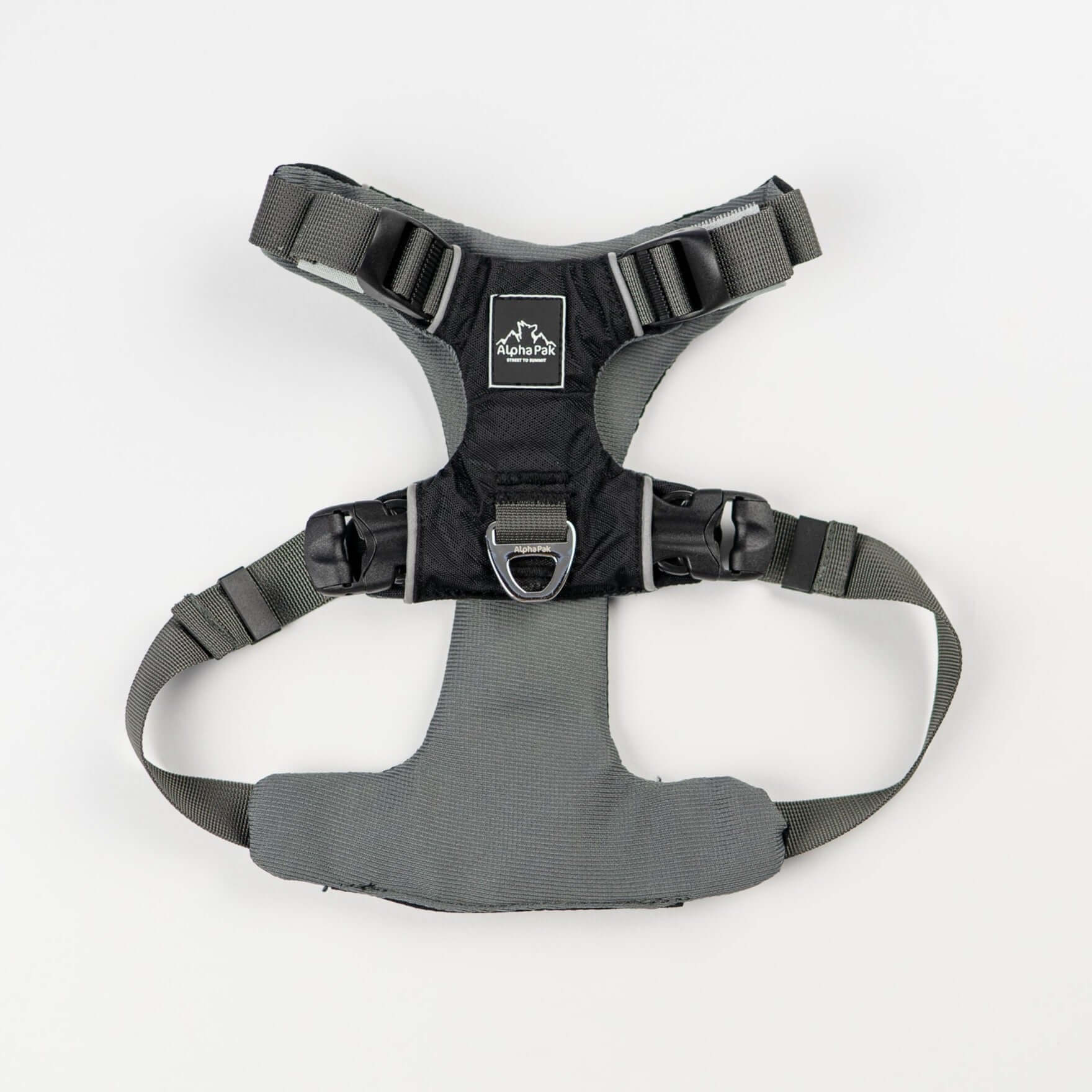 Everyday Adventure Dog Harness in black and gray with EZ Fit™ Straps and Buckles for secure adjustments.