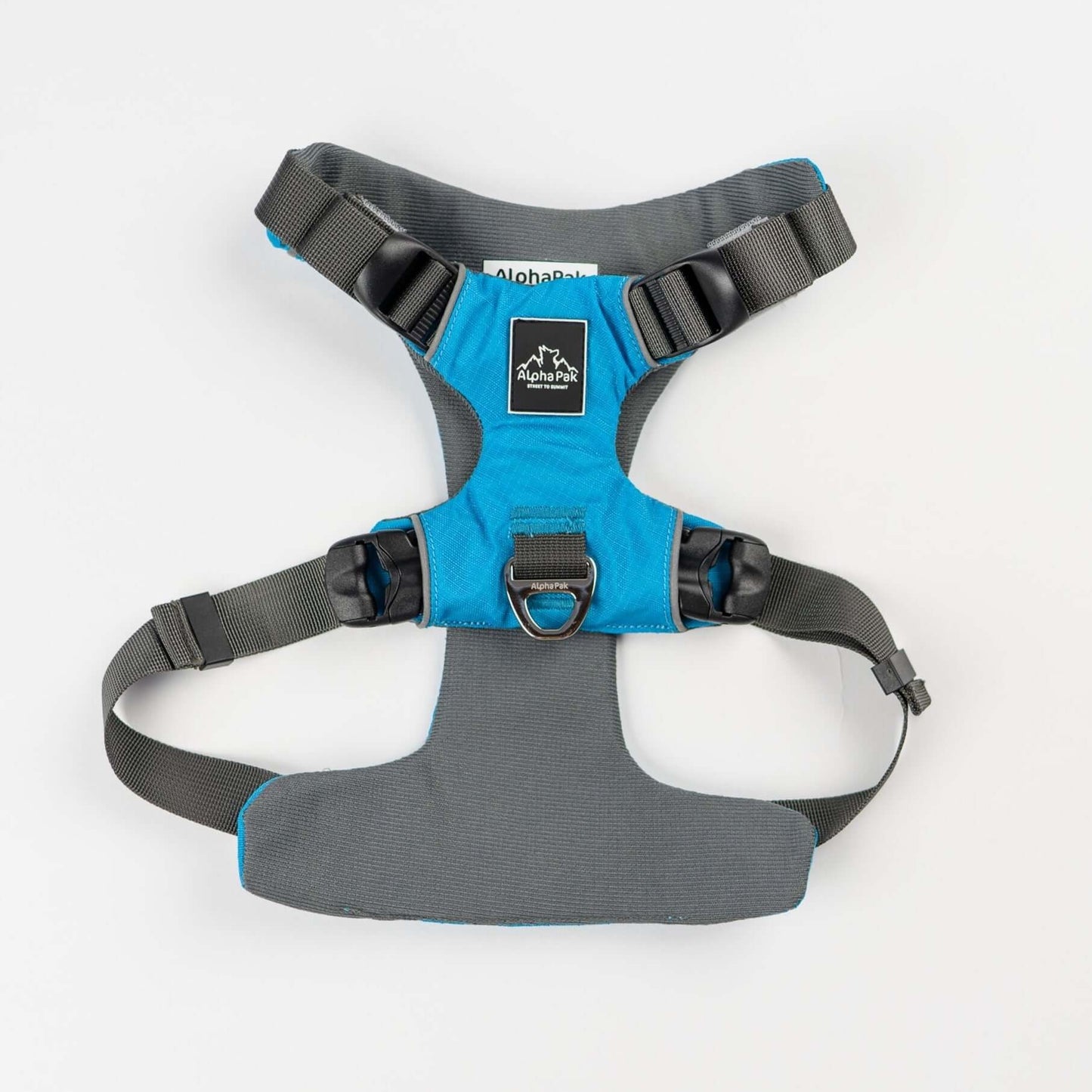 Everyday Adventure Dog Harness featuring EZ Fit straps and buckles for quick adjustments, padded for comfort.
