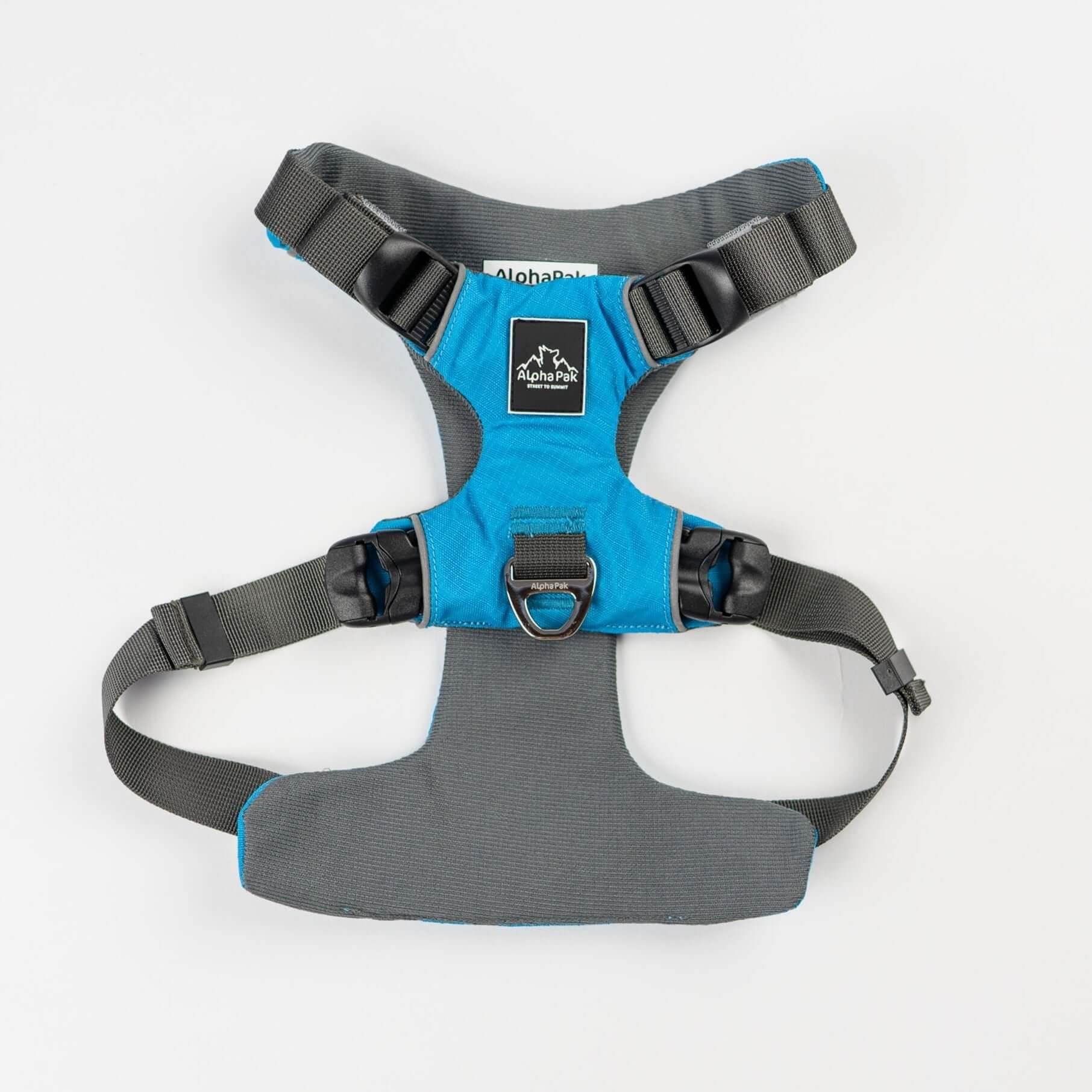 Everyday Adventure Dog Harness featuring EZ Fit straps and buckles for quick adjustments, padded for comfort.