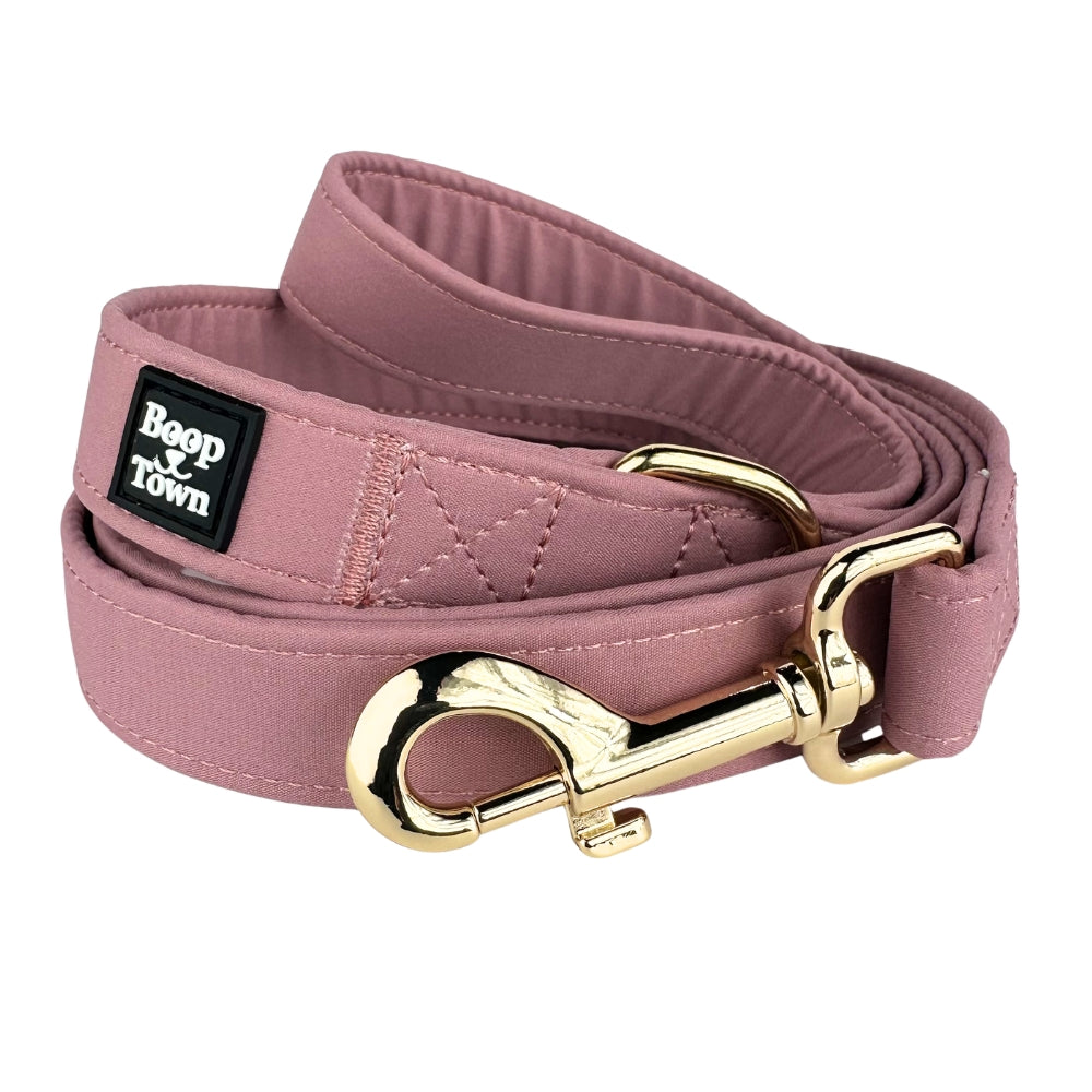 Boop Town Cute Dog Leashes 5 Feet Long