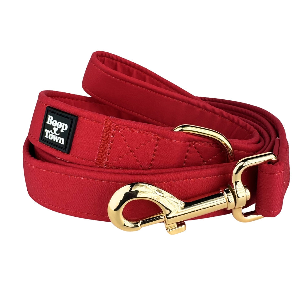 Boop Town Cute Dog Leashes 5 Feet Long