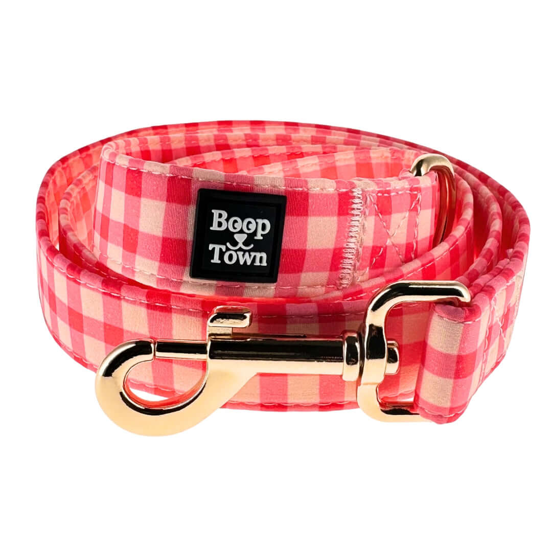 Boop Town Cute Dog Leashes 5 Feet Long in a pink gingham design with durable metal clip.