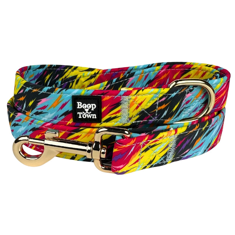 Boop Town Cute Dog Leashes 5 Feet Long