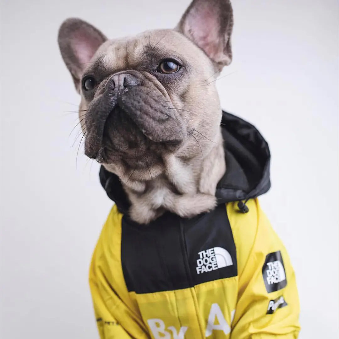 Dog Rain Jacket for Large Pets