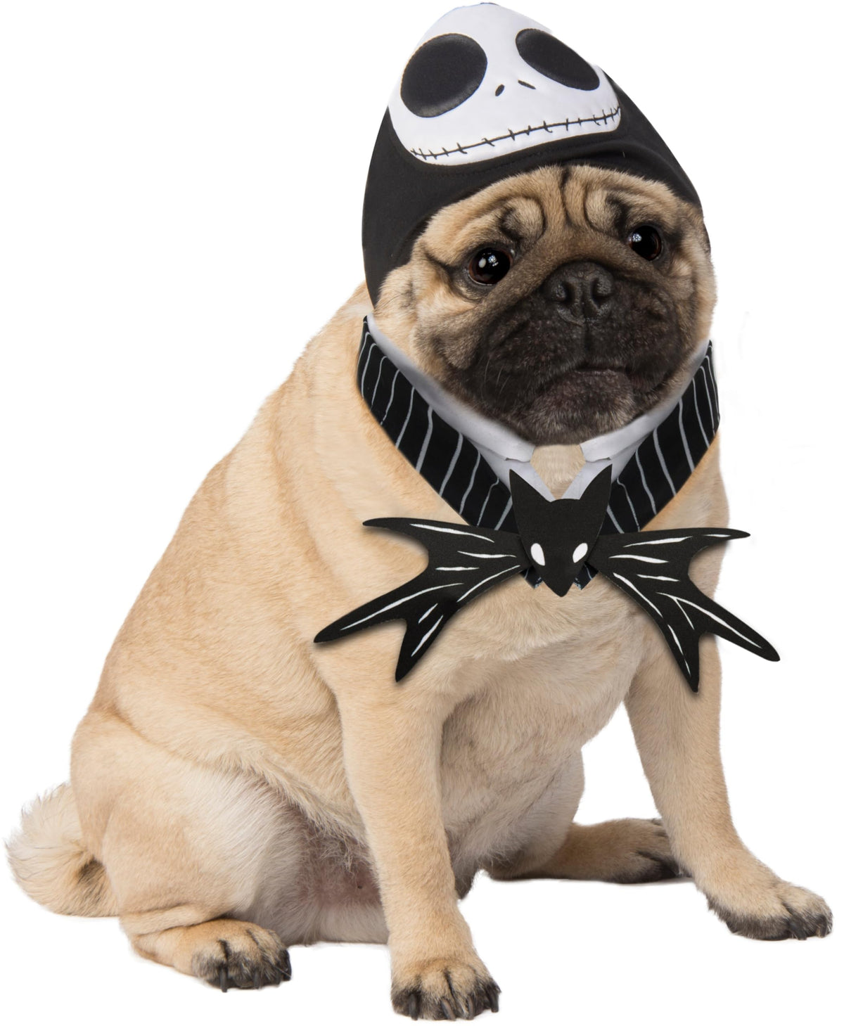 Disney Jack Skellington Dog Costume – Small/Medium