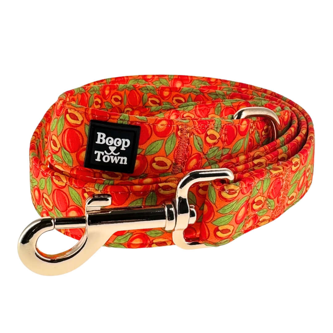 Boop Town Cute Dog Leashes 5 Feet Long featuring vibrant floral design and metal hardware.