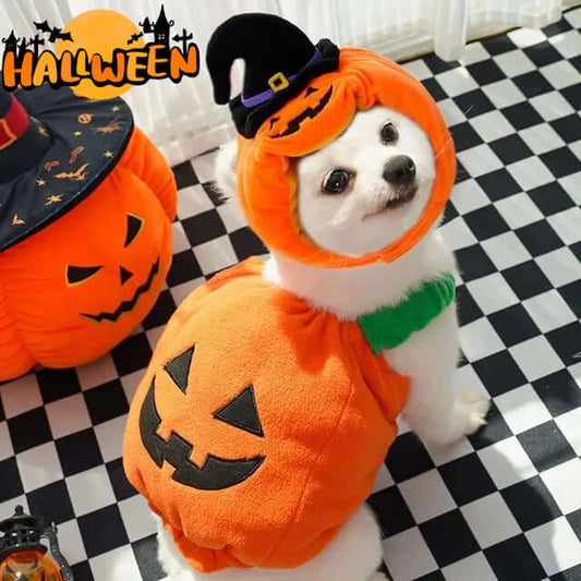 Halloween Pumpkin Pet Costume – Vest, Hat & Set Options