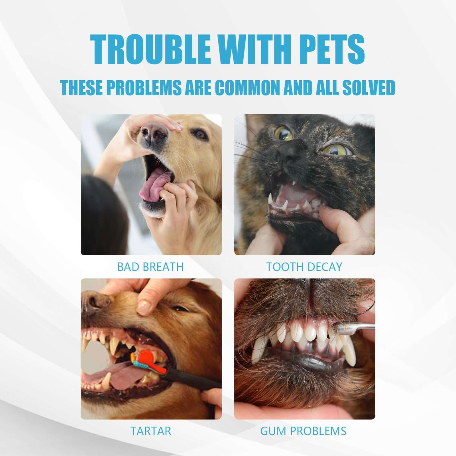 Trouble with pets: bad breath, tooth decay, tartar, and gum problems solved with dog edible toothpaste for oral care and fresh breath.