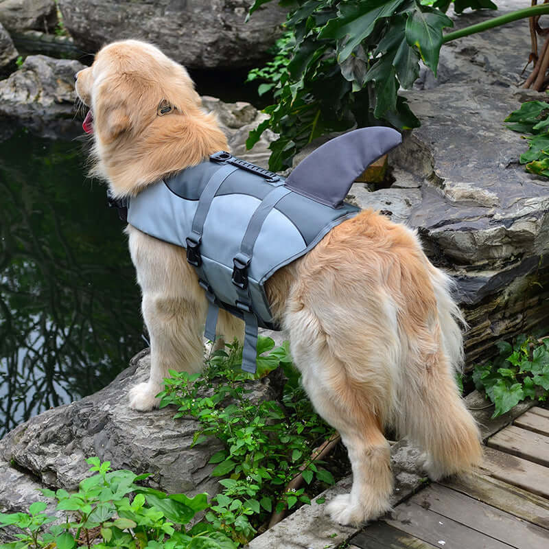 Dog Swimming Life Vest Adjustable Life Jacket Mermaid Shark on a dog by a pond outdoors
