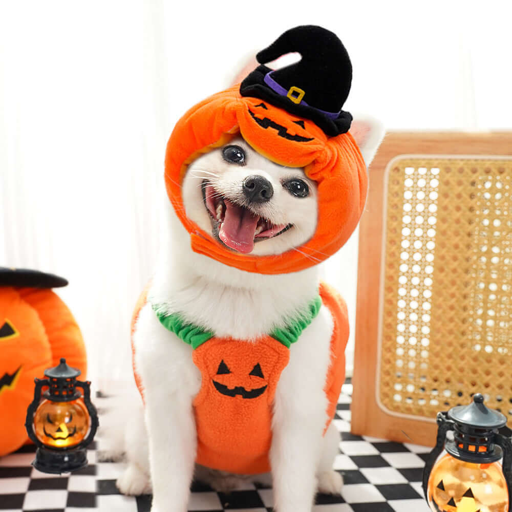 Halloween Pumpkin Pet Costume – Vest, Hat & Set Options